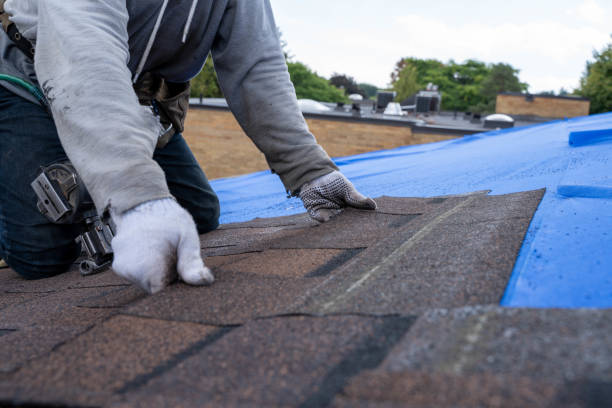 Best Flat Roof Repair Services  in Troup, TX